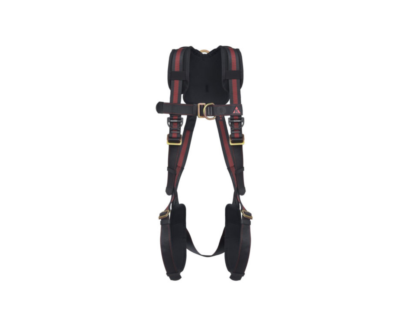 ARNÊS PN24 - 2D RINGS